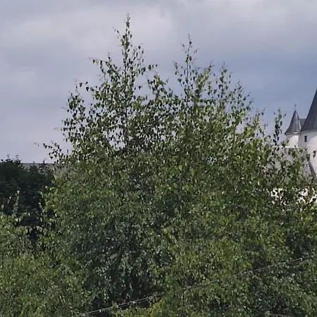 Dick Schwarzenberg/Erzgebirge